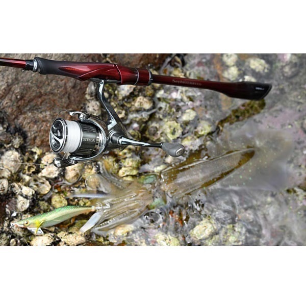 25 セフィア リミテッド